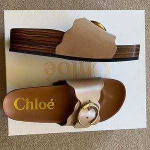 Chloe Lauren Slides